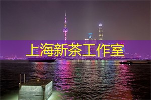上海419论坛：2025上海亚运会的准备工作