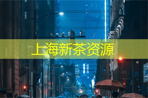 上海龙凤419：年轻态度：如何在上海茶庄喝茶更时尚